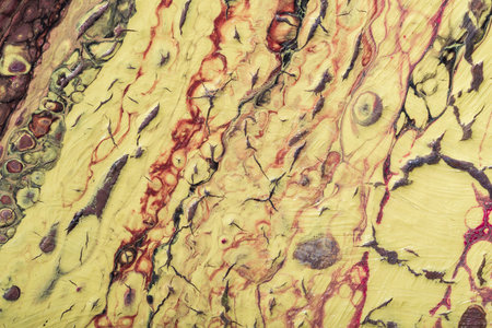 Fluid art- marbled effect. Abstract artwork- stain, splashes, smearing the dye. Liquid acrylic-...