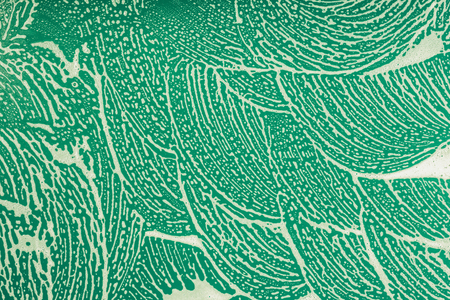 Drops- liquid foam. Fluid aqua- abstract pattern nature. Background- cleansing wash. Shampoo bubbles- soapy waterの写真素材
