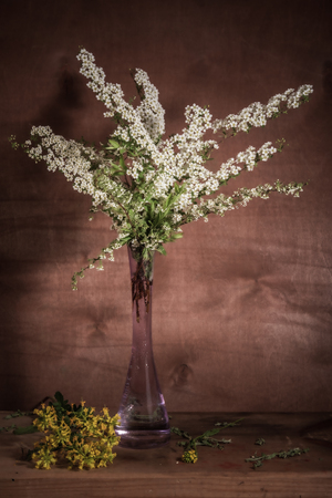 Still life- flower bouquet. Style rural- classical conceptの写真素材