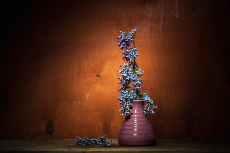 Still life- flower bouquet. Style rural- classical conceptの写真素材