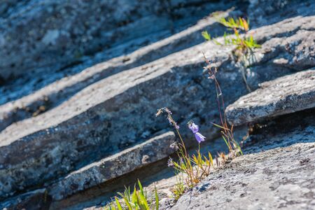 Travel to Russia. Ladoga skerries- hiking on the lake. Nature landscape- national parkの写真素材
