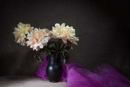 Still life of peonies. Spring- blossom season. Background- cloth drapery. Fine art- decoration conceptの写真素材