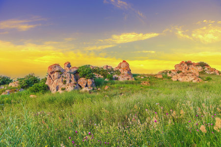 Crimea- nature landscape. Kerch- lush vegetation, steppe zone. Scenery background- vacation destinationsの写真素材