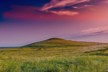 Crimea- nature landscape. Kerch- lush vegetation, steppe zone. Scenery background- vacation destinationsの写真素材