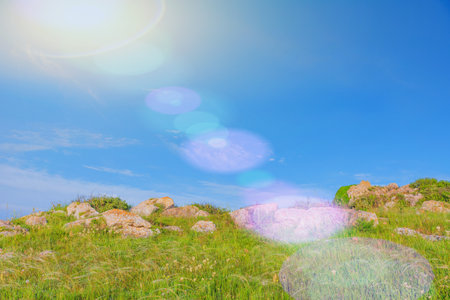 Crimea- nature landscape. Kerch- lush vegetation, steppe zone. Scenery background- vacation destinationsの写真素材