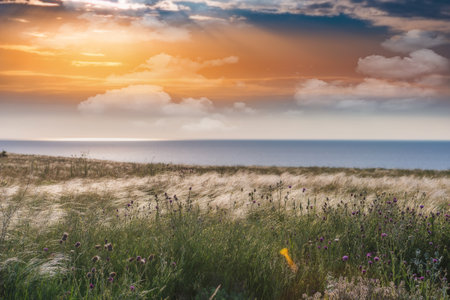 Crimea- nature landscape. Kerch- lush vegetation, steppe zone. Scenery background- vacation destinationsの写真素材