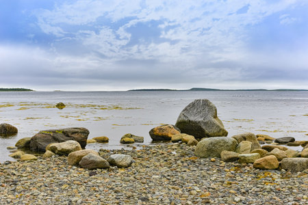 Arctic Ocean. Sea background- landscape coast. Journey path- features of the polar zone