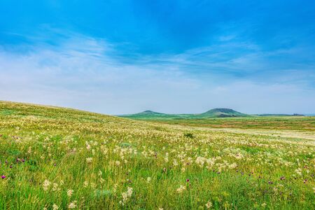 Sights of Crimea - lush vegetation, steppe zone in the spring. Landscape park- Kerch peninsulaの写真素材