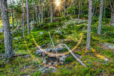 Travel to Russia. Ladoga skerries- hiking on the lake. Nature landscape- national park