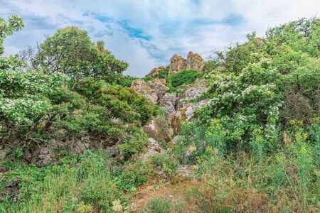 Sights of Crimea - lush vegetation, steppe zone in the spring. Landscape park- Kerch peninsulaの写真素材