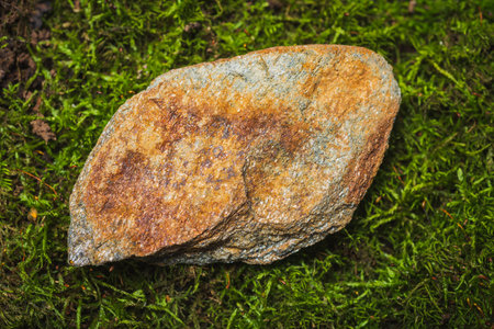 Still life. Semi precious stones in green moss. Can be used for interior decorationの写真素材