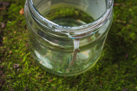 Environmental pollution. Dangerous garbage in the forest lies on the green moss