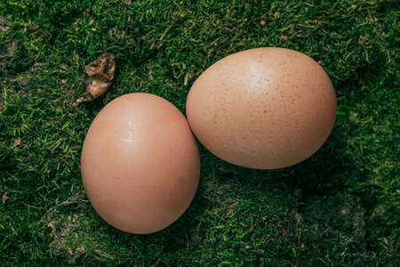 Chicken egg is prepared for cooking. Still life- homemade foodの写真素材