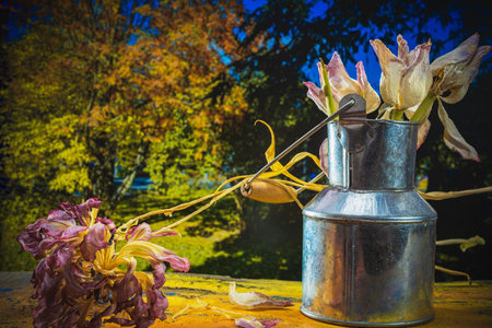 Still life- art style blur. Bokeh effect- blooming flowers are a wonderful decoration of interior.の写真素材