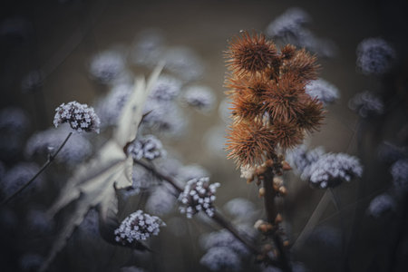 Background art- stylish still life flowers. Creative artwork used for printing on large format...