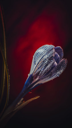 Background art- stylish still life flowers. Creative artwork used for printing on large format...