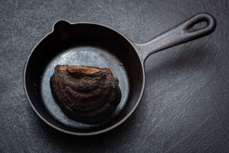 Fomitopsis pinicola. The medicinal mushroom tinder is lying on the table. It affects wooden buildingsの写真素材