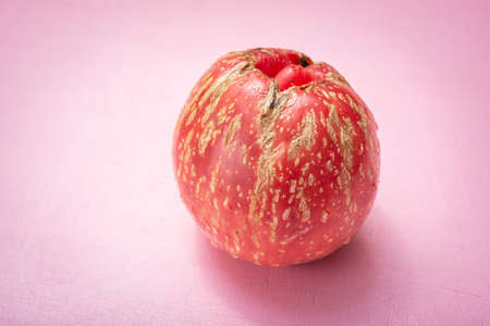 Vegetables for vegan nutrition. The picture can be used in the work of a food stylistの写真素材