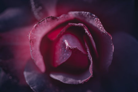 Background art- stylish still life flowers. Creative artwork used for printing on large format...