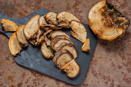 Fomitopsis pinicola. The medicinal mushroom tinder is lying on the table. It affects wooden...