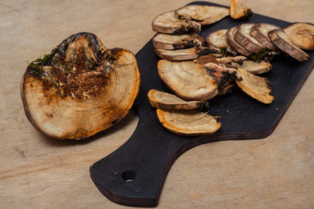 The medicinal mushroom polypores is lying on the table. Abstract background