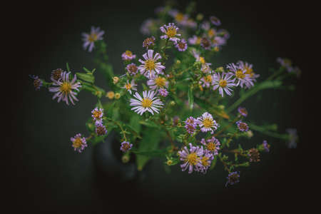 The flowers are out of focus. A pleasant blur of the image can be used in the work of the designerの写真素材