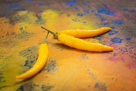Vegetables for vegan nutrition. The picture can be used in the work of a food stylist