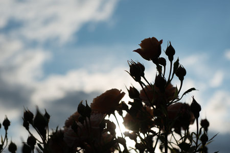 Background art- stylish still life flowers. Creative artwork used for printing on large format...