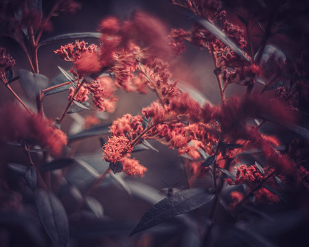 Background art- stylish still life flowers. Creative artwork used for printing on large format...