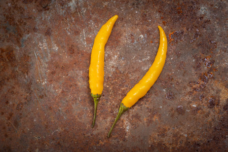 Vegetables for vegan nutrition. The picture can be used in the work of a food stylist