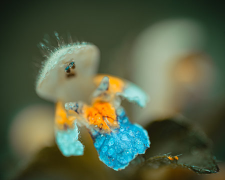 Background art- stylish still life flowers. Creative artwork used for printing on large format canvasの写真素材