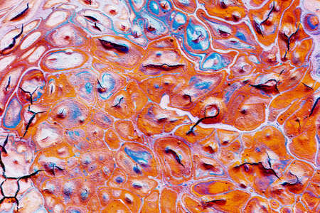 Painting acrylic paint- abstract drawing. Texture backgroundの写真素材