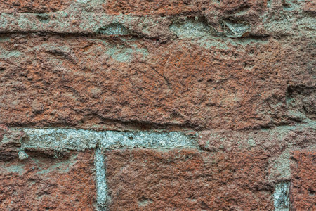 Old wall, craquelure paints - can be used by designers in creative works. art background