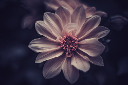 Background art- stylish still life flowers. Creative artwork used for printing on large format canvasの写真素材