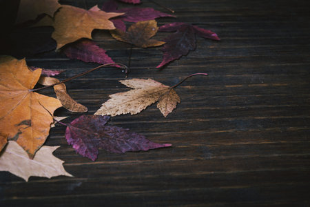 Autumn time- yellow leaves on a dark wooden background
