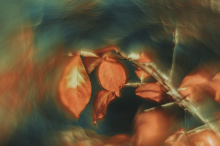 DOF- depth of field. Flowers - soft focus effect