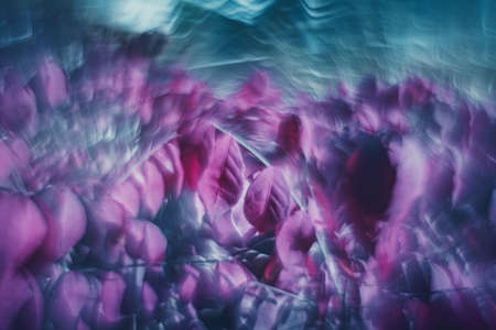 DOF- depth of field. Flowers - soft focus effectの写真素材