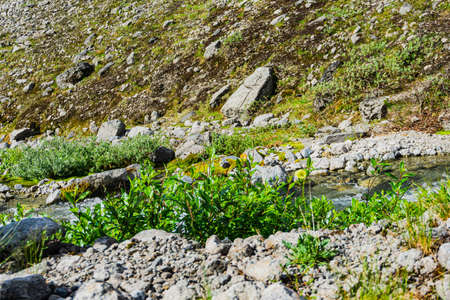 The city of Kirovsk- Murmansk region. Mountains Apatite ski resort. The Arctic region of Russia is a popular hiking trailの写真素材
