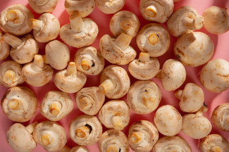 Champignon mushrooms on pink background, top view. Healthy foodの写真素材