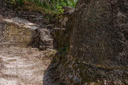 Rocky path in the forest. Natural background and texture for design.の写真素材