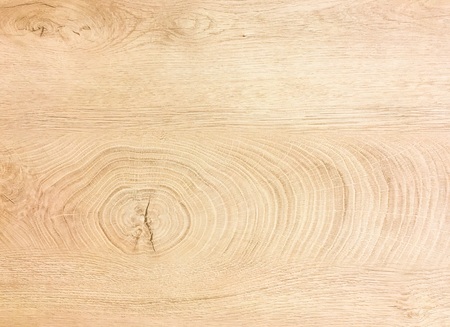 White Organic Wood Texture.の写真素材