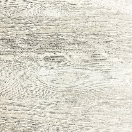 White Organic Wood Texture. Light Wooden Background. Old Washed Wood.の写真素材