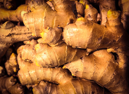 Turmeric Curcuma root isolated background. Curry turmeric rootの写真素材