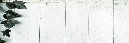 Light wood texture background surface with old natural pattern or old wood texture table top view. Grunge surface with wood texture background. Vintage timber texture background. Rustic table top view.の写真素材