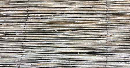 Light wood texture background surface with old natural pattern or old wood texture table top view....