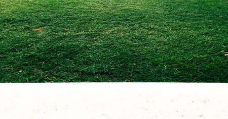 Grass.Green. Grass Background. Natural green grass texture, Natural green grass background for design with copy space for text or image.の写真素材