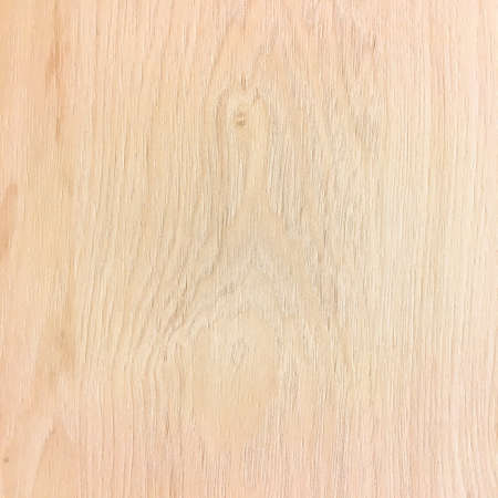 Wood texture background, wood planks. Grunge wood, painted wooden wall patternの写真素材