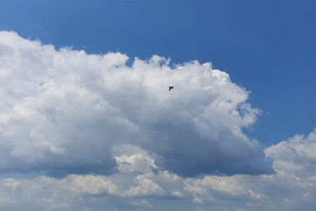 clouds, sky blue background. cloud blue skyの写真素材