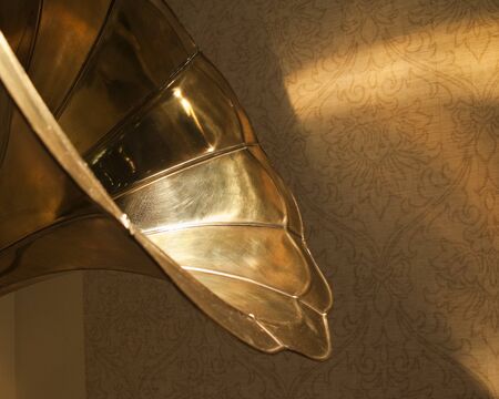 Old gramophone on floral background.の写真素材