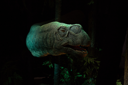 Vegetarian dinosaur from blackの写真素材